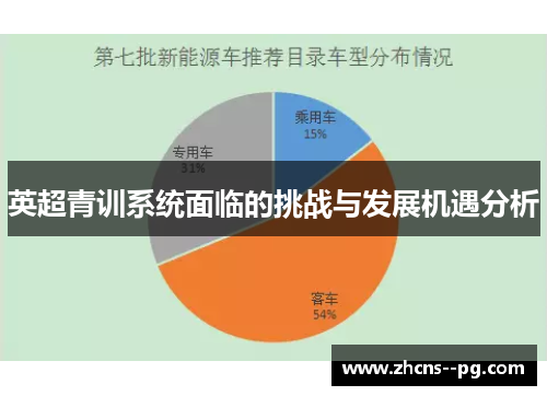 英超青训系统面临的挑战与发展机遇分析