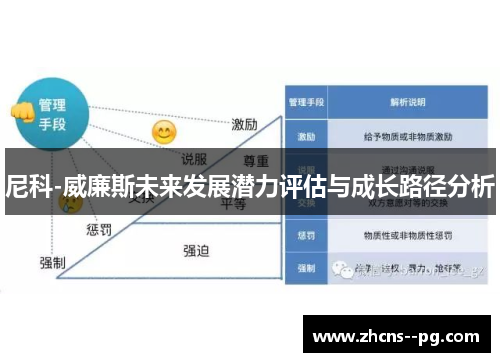 尼科-威廉斯未来发展潜力评估与成长路径分析