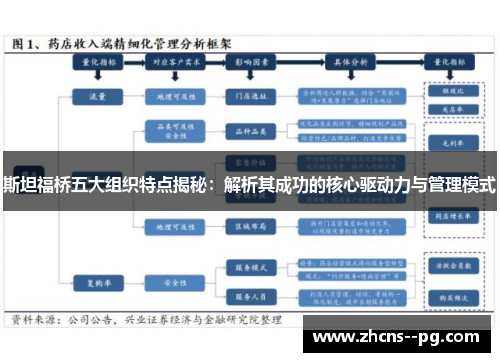 斯坦福桥五大组织特点揭秘：解析其成功的核心驱动力与管理模式