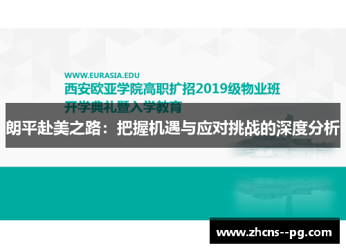 朗平赴美之路：把握机遇与应对挑战的深度分析