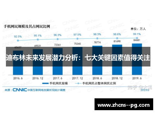 迪布林未来发展潜力分析：七大关键因素值得关注